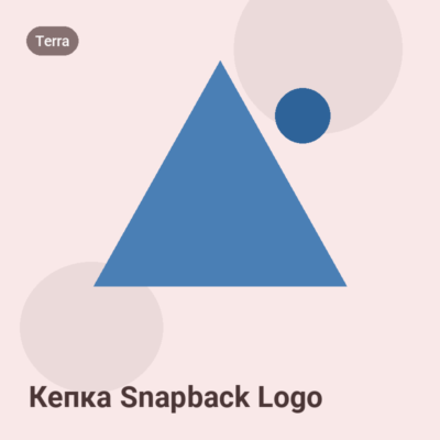 Кепка Snapback Logo